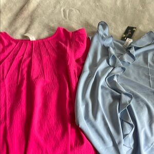 Zara Sleeveless Pink and Blue Pleated Ruffled Blouses